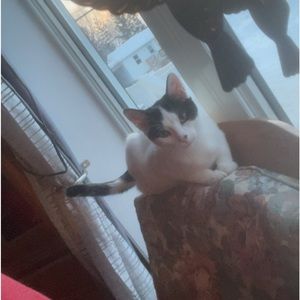 Meet your Posher, Arianna